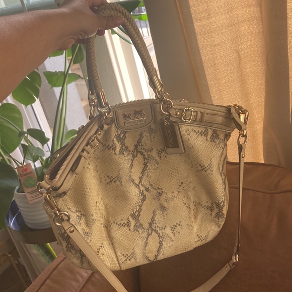 Coach Madison python bag - Picture 6 of 9